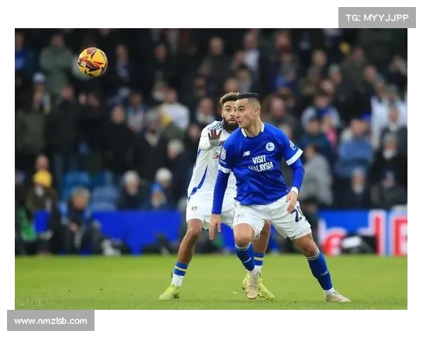 如何查询加的夫城足球队所在联赛及其历史表现分析