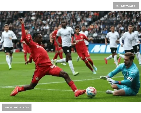 德甲球队强势表现引领欧洲赛场 各队竞争激烈看点十足