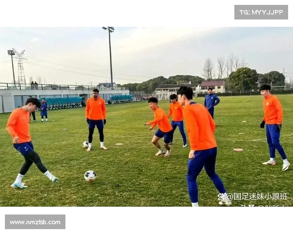 提升山东泰山队体能训练效果的策略与方法探析